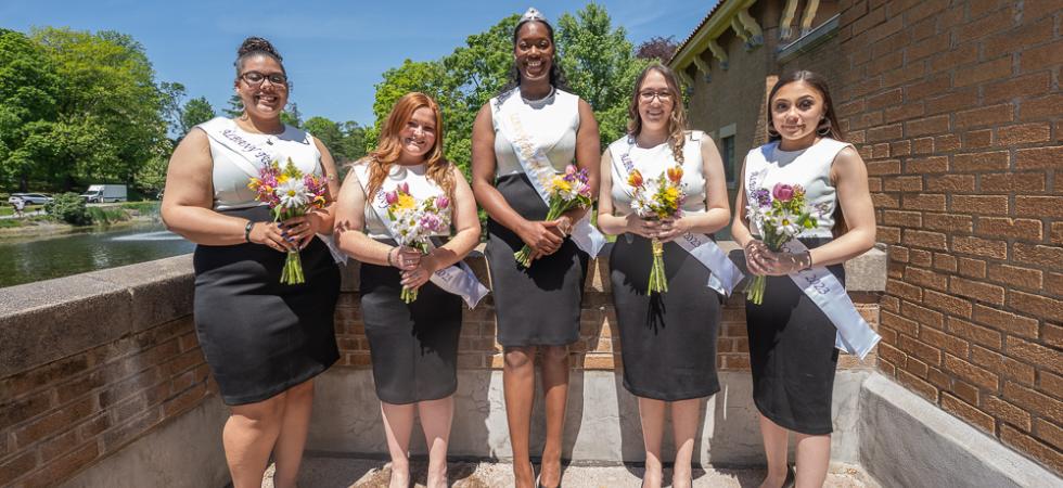 Albany Tulip Queen
