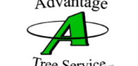 Advantage Tree Service 